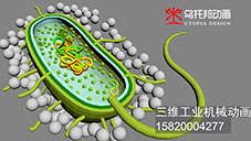 苏州市微生物分泌后碳酸钙颗粒集结三维动画